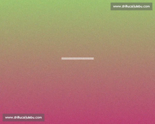 蕾妮姐忆酋长球场岁月：北伦敦的绿茵回声里藏着一座城